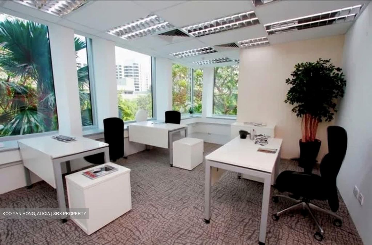 Thong Teck Building (D9), Office #537979521